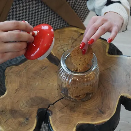 Apartamento Nook Luxury & House Kopaonik