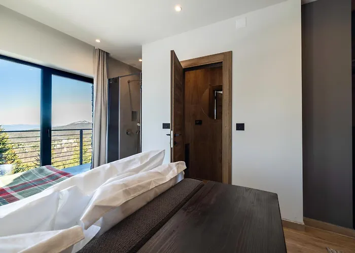 Nook Luxury & House 公寓 科帕奥尼克