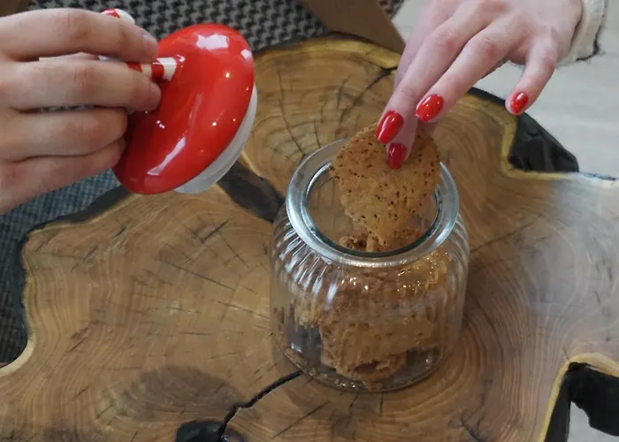 公寓 Nook Luxury & House 科帕奥尼克