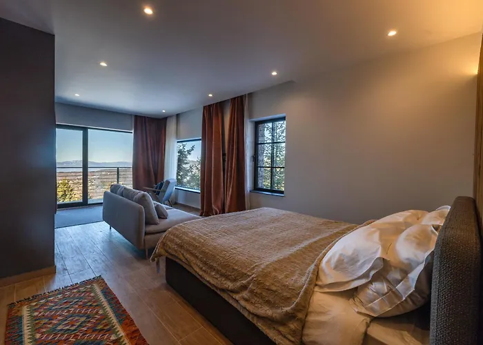 Nook Luxury & House 科帕奥尼克